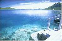 第８回　純資産価額方式による非上場株式評価の実務完全ガイド | 尼崎の税理士法人