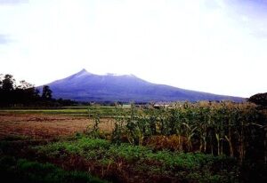 税理士法人松野茂税理士事務所　１９回　小規模宅地特例における二世帯住宅の取扱い Q&A【基本編】尼崎の税理士法人が解説