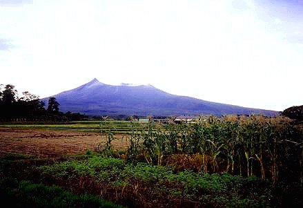 税理士法人松野茂税理士事務所　１９回　小規模宅地特例における二世帯住宅の取扱い Q&A【基本編】尼崎の税理士法人が解説