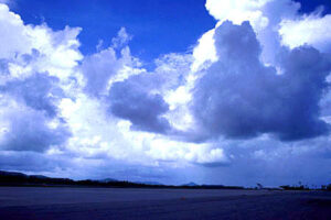 第３回　非上場会社の株式評価　比準要素数1の会社とは？注意点 | 尼崎の税理士が解説