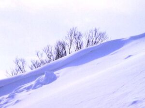 令和8年度　速報　税制改正　個人事業者・中小法人向けの減税ピックアップ | 尼崎の税理士が解説