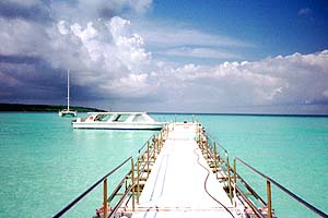 税理士法人松野茂税理士事務所 3回 定期同額給与の実務Q&A【尼崎の税理士法人が解説】