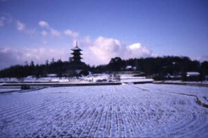 第２回　株式等保有特定会社の評価と実務上の注意点 | 尼崎の税理士が解説