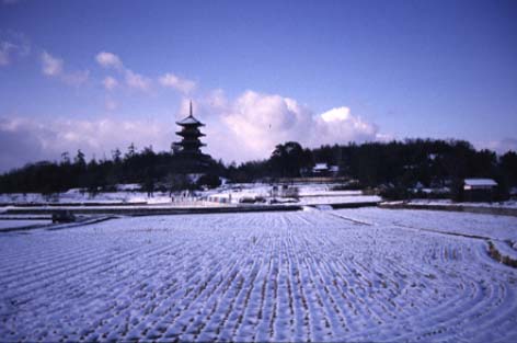 第２回　株式等保有特定会社の評価と実務上の注意点 | 尼崎の税理士が解説