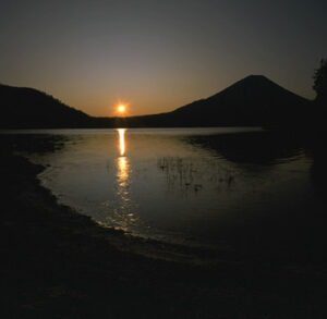 速報　令和8年度税制改正　個人事業者・中小法人への影響｜尼崎の税理士が解説