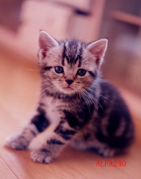 贈与税計算ツール完全ガイド｜暦年贈与シミュレーションエクセル活用法【税理士事務所スタッフ向け】