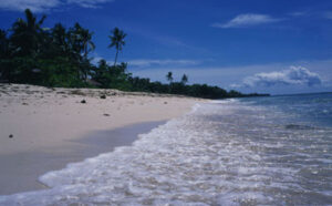 贈与税申告書の書き方完全ガイド｜自分で申告する方法と計算ツール付き | 尼崎の税理士法人が解説