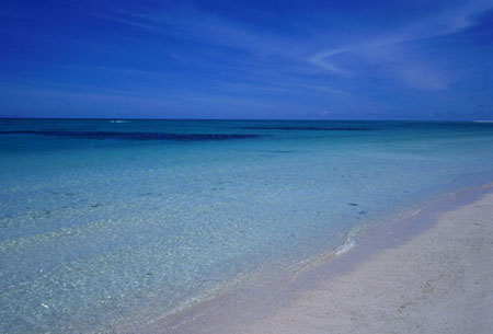 税理士法人松野茂税理士事務所　婚姻前の株式贈与