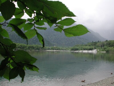 不動産投資と節税戦略・ 不動産管理型法人から不動産所有型法人への移行のタイムスケジュール | 尼崎の税理士が解説