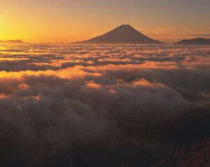 【令和7年実績公開】書面添付で税務調査が年1件に激減|調査省略率100%の秘訣 | 尼崎の税理士法人松野茂税理士事務所
