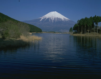 Japanese Corporate Tax Explained Simply