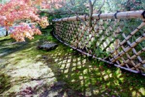 相続した土地を売るとき、【交換した土地】取得費が不明｜尼崎の税理士が解説