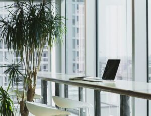 WordPressサイト運営を効率化する！税理士事務所で実際に使用しているプラグイン18選