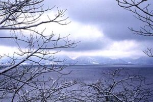 日本の税金の説明