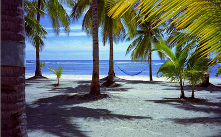 相続争いを防ぐ切り札！生命保険が遺産分割の対象外になる理由と活用法 | 尼崎市の税理士が解説