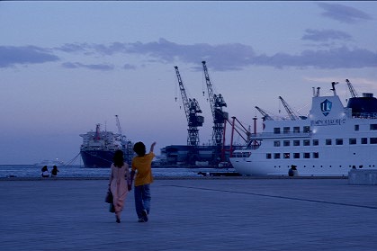 財産評価基本通達179とは｜非上場株式の会社規模と評価方式の決定方法を解説